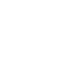 icons8-camion-100_1 - TEMPORO